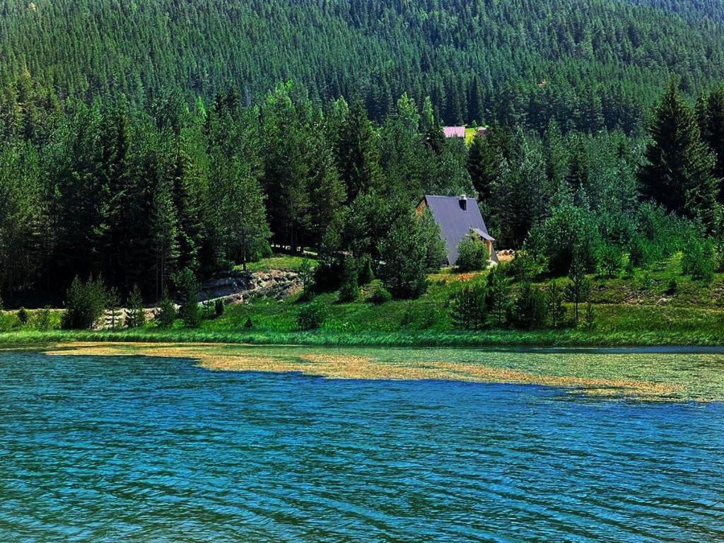 זבליאק Zminica Lake House מראה חיצוני תמונה