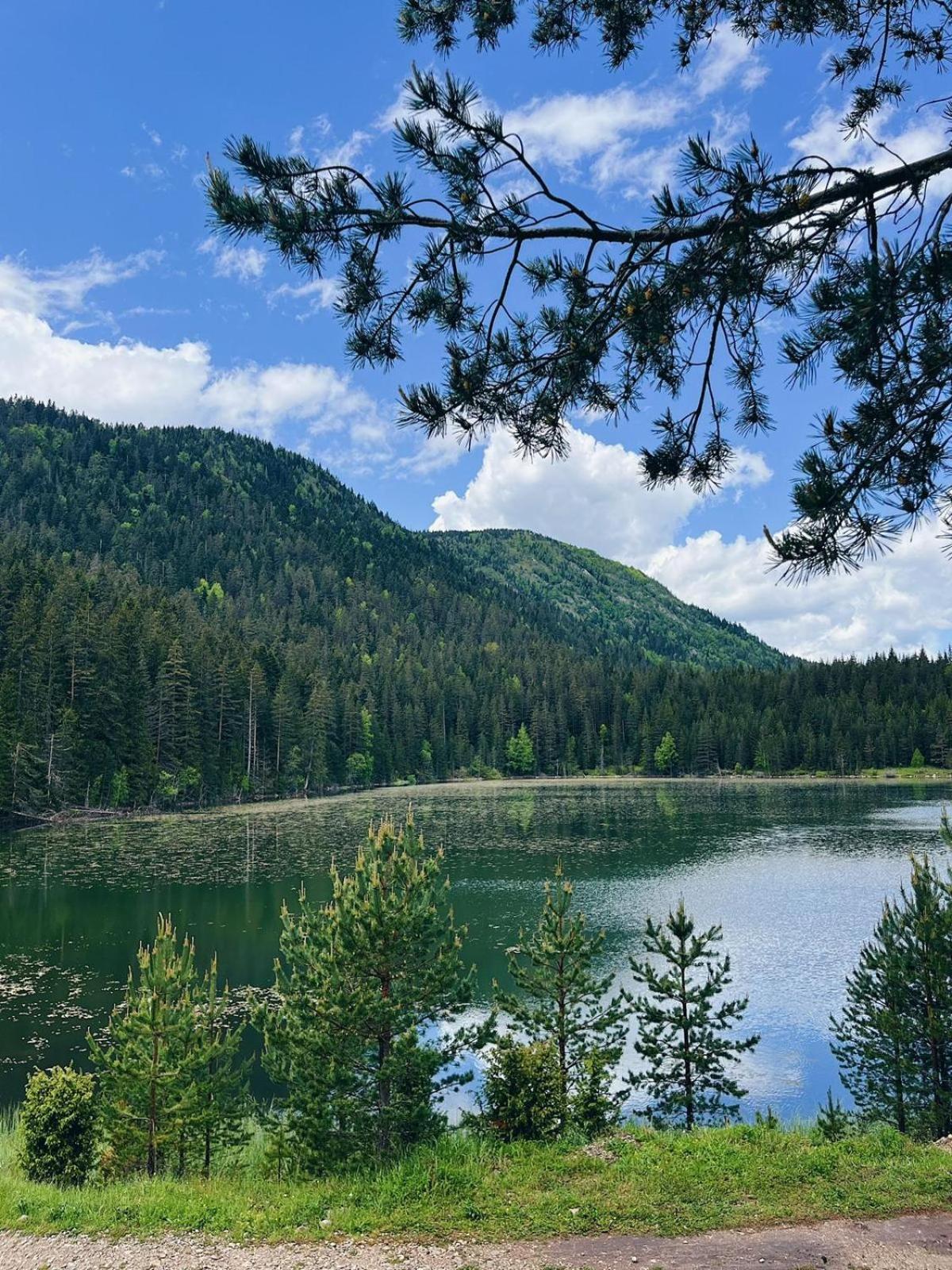 זבליאק Zminica Lake House מראה חיצוני תמונה